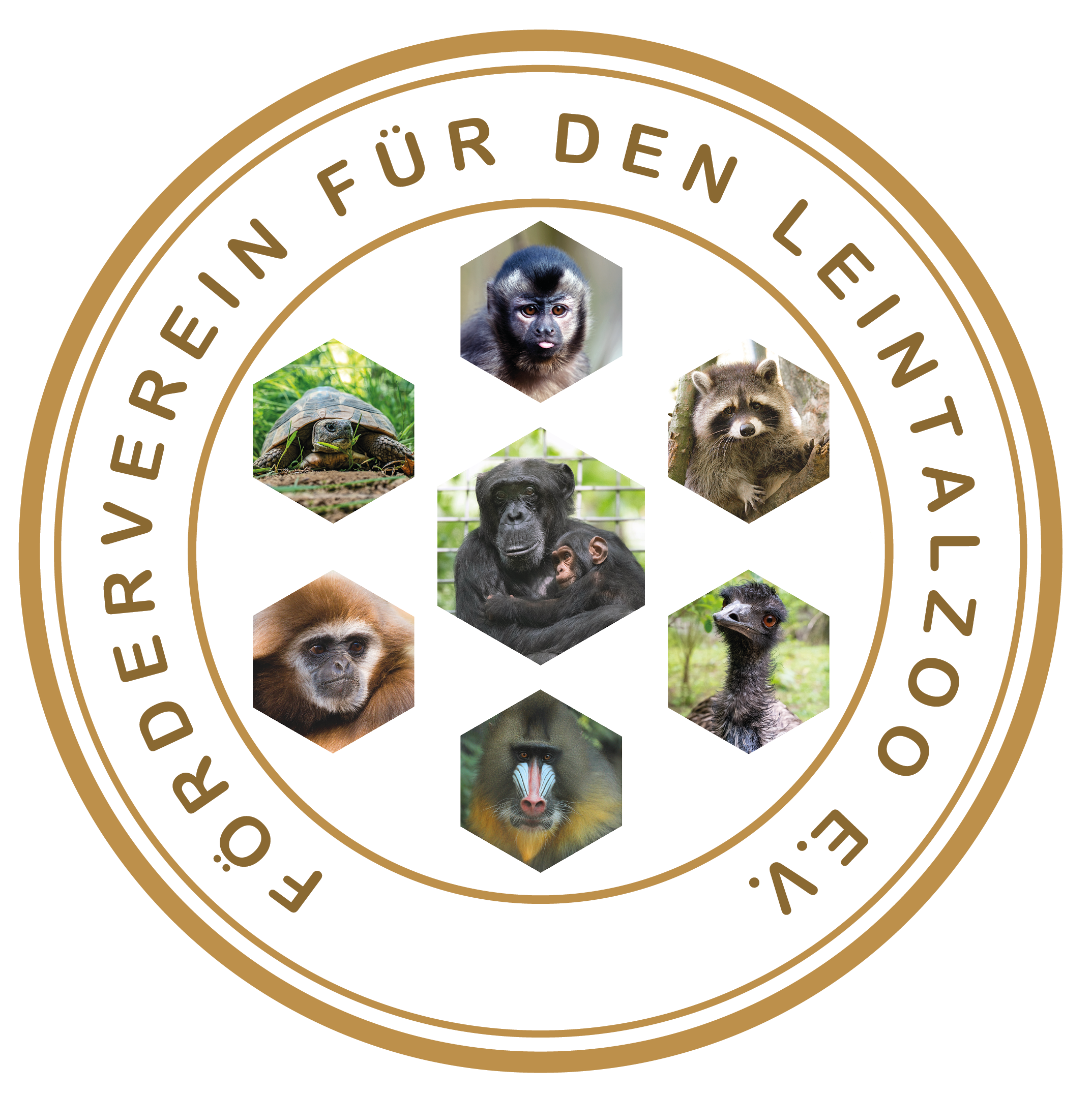 Spende Dezember 2025